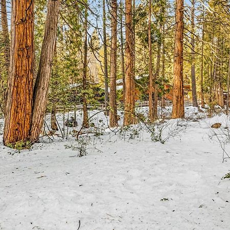 Creekside Cabin Hotel Idyllwild Buitenkant foto