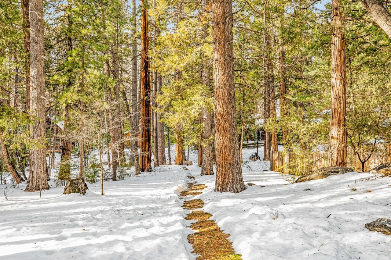 Creekside Cabin Hotel Idyllwild Buitenkant foto